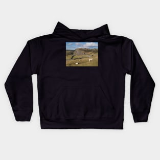 Lazy Dales Afternoon Kids Hoodie